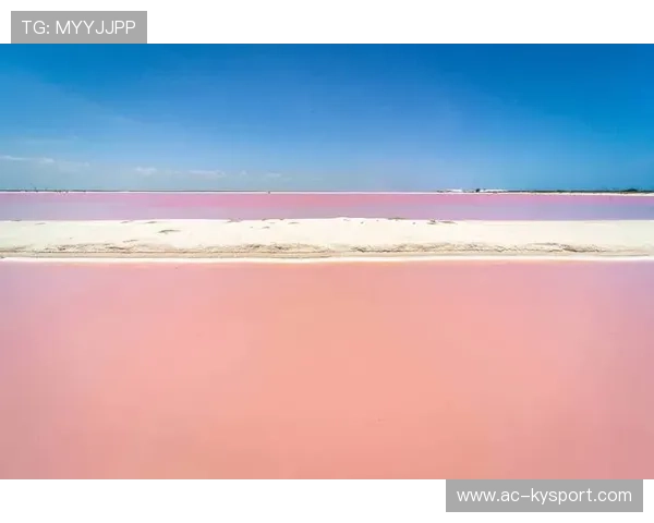 巴哈马特色沙滩运动品牌逐渐成型，巴哈马的景点